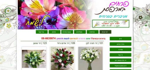פרחים במרפסת - משלוחי פרחים באשדוד