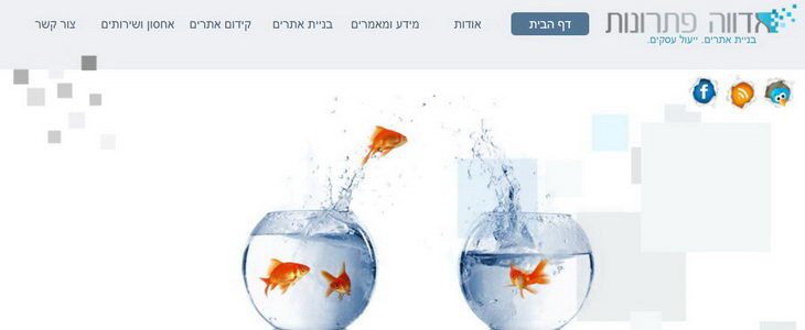 אדווה פתרונות