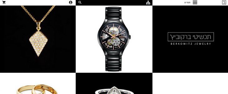 תכשיטי ברקוביץ