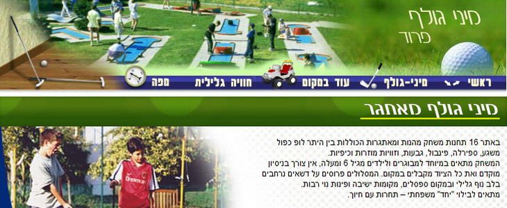 מיני גולף