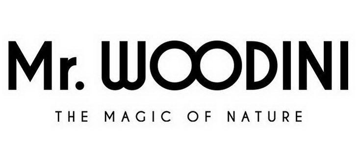 Mr Woodini - משקפי שמש מעוצבים מ