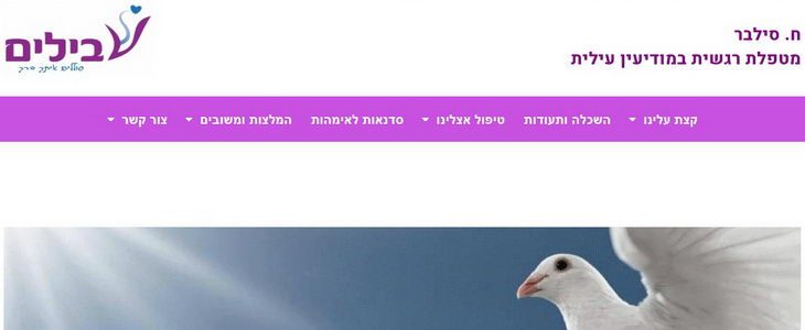 טיפול רגשי לילדים