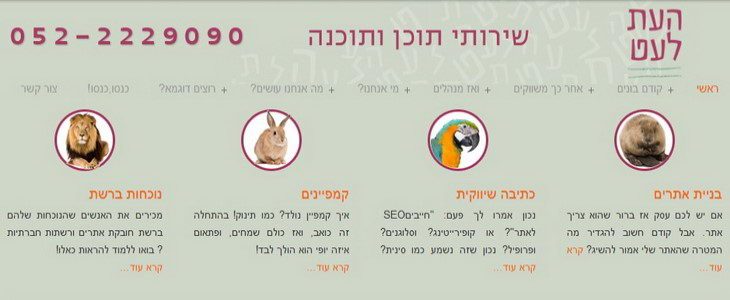 העת לעט, שירותי תוכן ותוכנה